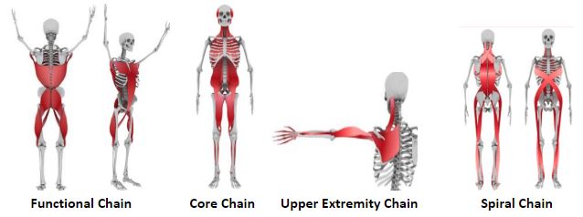 AO Cervical Collar SUGGESTED HCPC: L0172 - Advanced Orthopaedics