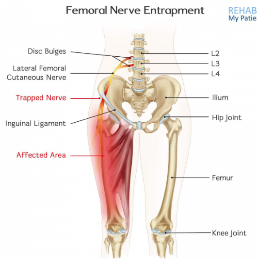 femoral and sciatic nerve